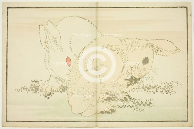 Two Rabbits, from The Picture Book of Realistic Paintings of Hokusai (Hokusai..., Japan, c1814. Creator: Hokusai.