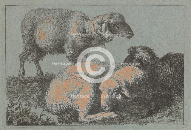 Two Reclining Sheep and One Standing Sheep, 1757/1758. Creator: Francesco Londonio.