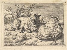 Two Recumbent Sheep, 1670. Creator: Adriaen van de Velde