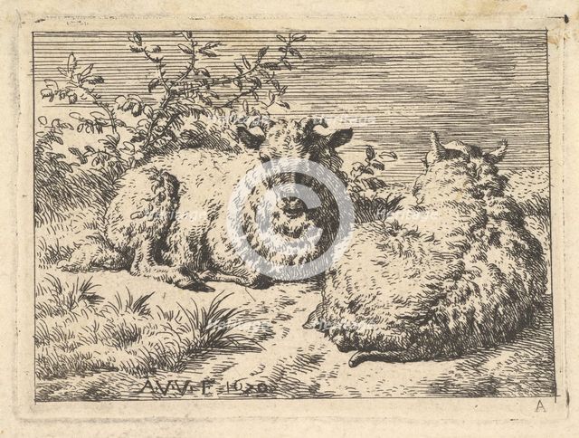 Two Recumbent Sheep, 1670. Creator: Adriaen van de Velde.