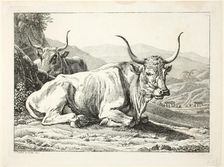 Two Roman Bulls Resting, from Die Zwiete Thierfolge, 1800. Creator: Johann Christian Reinhart