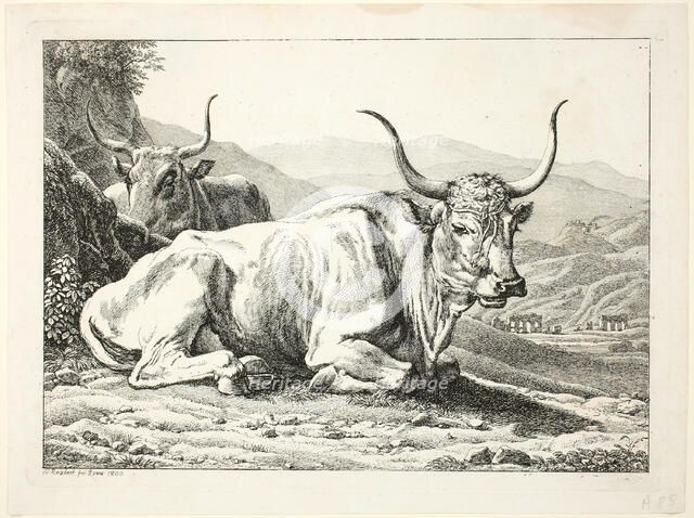 Two Roman Bulls Resting, from Die Zwiete Thierfolge, 1800. Creator: Johann Christian Reinhart.