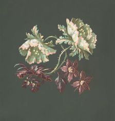 Two Roses and Two Small Flowers, 19th century. Creator: Anon