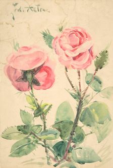 Two Roses, ca. 1884-1904. Creator: Zacharie Astruc