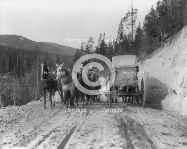 Two stagecoaches passing on mountain road, Yellowstone National Park, Wyoming, 1903. Creator: Frances Benjamin Johnston.