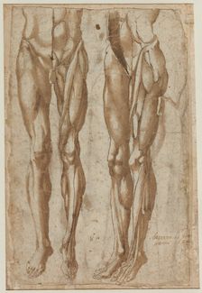 Two Studies of a Flayed Man, 1554. Creator: Bartolommeo da Arezzo (Italian, 1578)