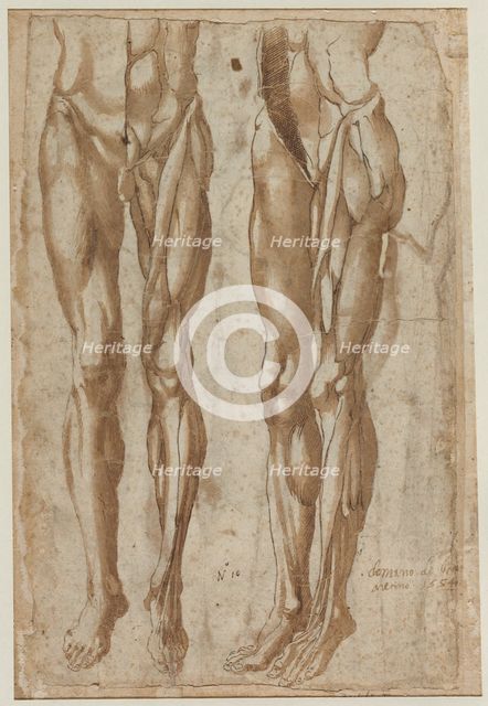 Two Studies of a Flayed Man, 1554. Creator: Bartolommeo da Arezzo (Italian, 1578).