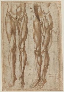 Two Studies of a Flayed Man (recto) Study of a Flayed Torso (verso), 1554. Creator: Bartolommeo da Arezzo (Italian, 1578)