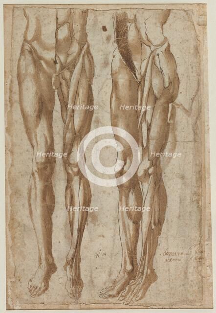 Two Studies of a Flayed Man (recto) Study of a Flayed Torso (verso), 1554. Creator: Bartolommeo da Arezzo (Italian, 1578).