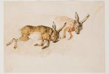 Two Studies of a Hare, between 1840 and 1876. Creator: Eugene Fromentin