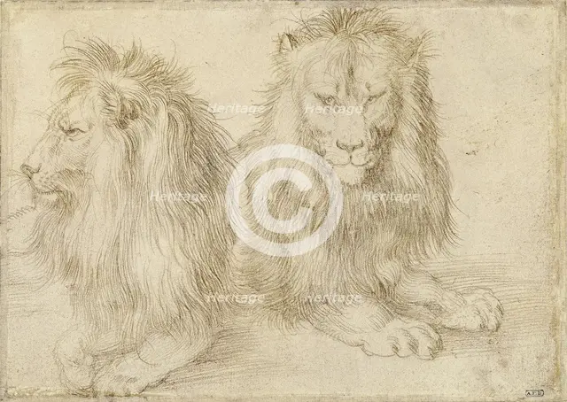 Two seated lions, 1521. Artist: Dürer, Albrecht (1471-1528)