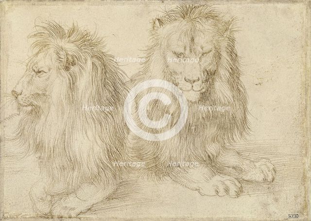 Two seated lions, 1521. Artist: Dürer, Albrecht (1471-1528)
