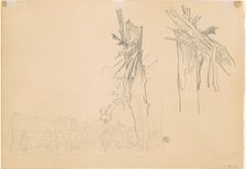 Two Shattered Trees; and Study for "The Road" [verso], 1918. Creator: John Singer Sargent