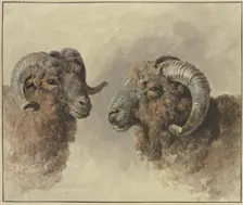 Two sheep, 18th century. Creator: Jacob van Strij