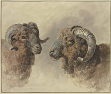 Two sheep, 18th century. Creator: Jacob van Strij