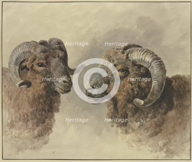 Two sheep, 18th century. Creator: Jacob van Strij.