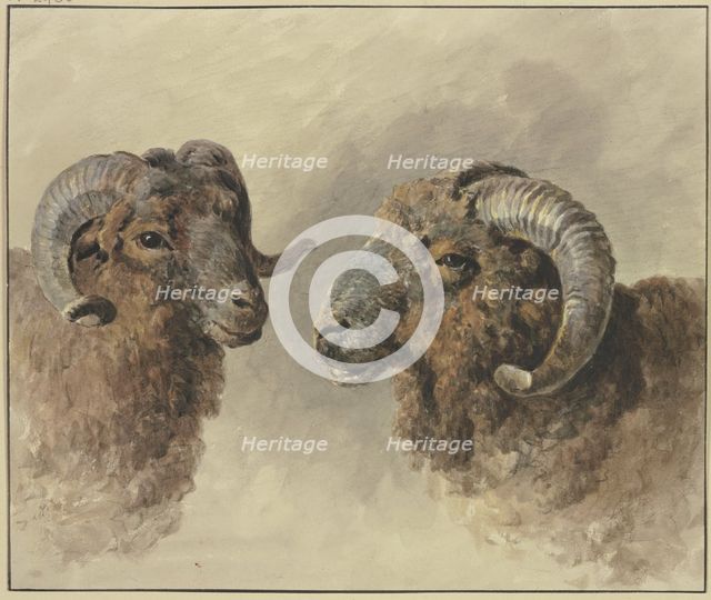 Two sheep, 18th century. Creator: Jacob van Strij.
