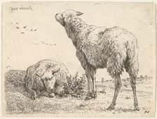 Two sheep, one shown frontally in a reclining position with its legs folded underneath..., ca. 1655. Creator: Karel Du Jardin