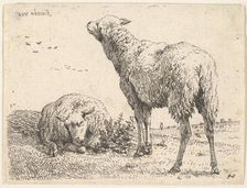 Two sheep, one shown frontally in a reclining position with its legs folded underneath..., ca. 1655. Creator: Karel Du Jardin