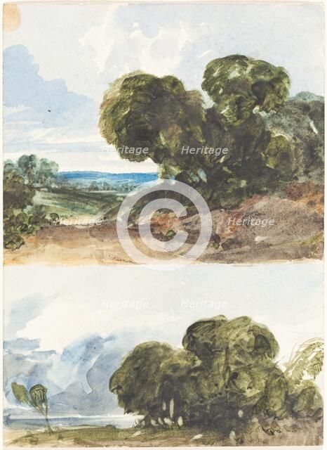 Two Sketches of Trees. Creator: James Bulwer.