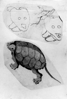 Two Sketches: One of a Turtle, the Other of Two Unidentified Objects, 18th-19th century. Creator: Hokusai