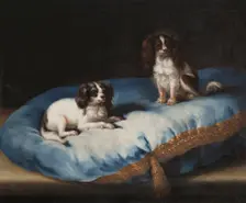 Two smaller dogs, c17th century. Creator: David Klocker Ehrenstrahl