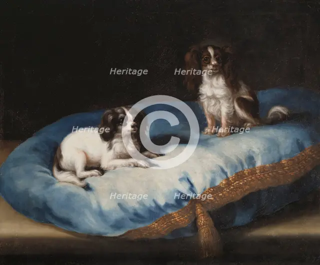 Two smaller dogs, c17th century. Creator: David Klocker Ehrenstrahl.