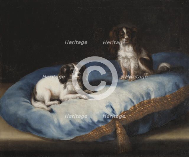 Two smaller dogs, c17th century. Creator: David Klocker Ehrenstrahl.
