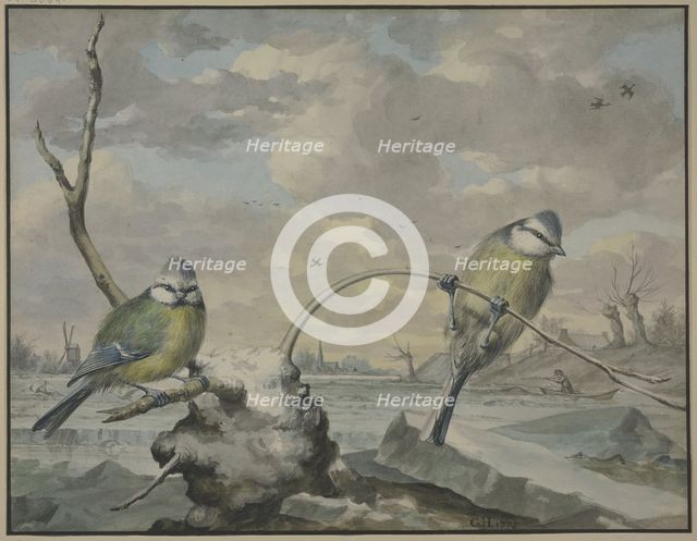 Two tits in the winter, 1775. Creator: Gijsbertus Haasbroek.