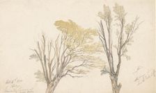 Two tree studies, 1850. Creator: Edwin Aaron Penley