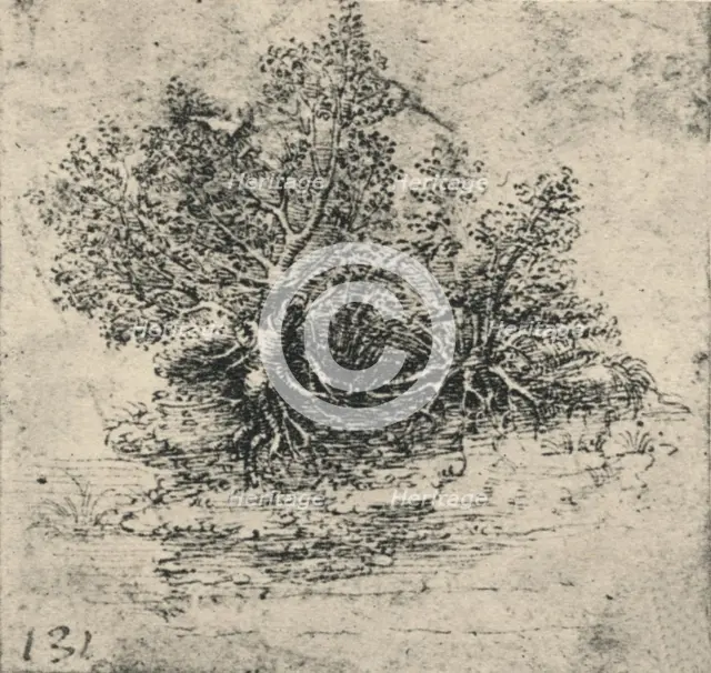 'Two Trees on the Bank of a Stream', c1480 (1945). Artist: Leonardo da Vinci.