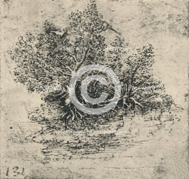 'Two Trees on the Bank of a Stream', c1480 (1945). Artist: Leonardo da Vinci.