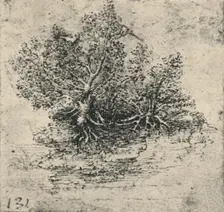 Two Trees on the Bank of a Stream c1480 (1945). Artist: Leonardo da Vinci