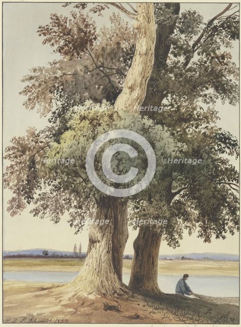 Two trees on the river, 1833. Creator: Ludwig Daniel Philipp Schmidt.