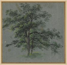 Two Trees (recto) Tree Studies (verso), first half 1800s. Creator: Johann Jacob Dorner (German, 1775-1852)