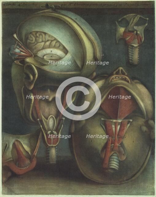 Two Views of the Head, 1746. Creator: Jacques Fabien Gautier Dagoty.