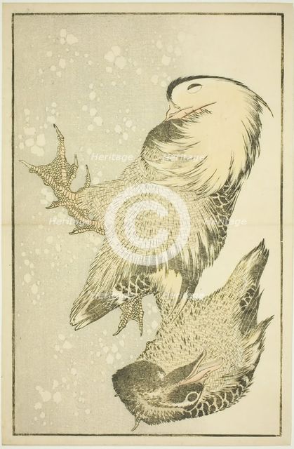Two Waterfowl, from The Picture Book of Realistic Paintings of Hokusai (Hokusai..., Japan, c. 1814. Creator: Hokusai.