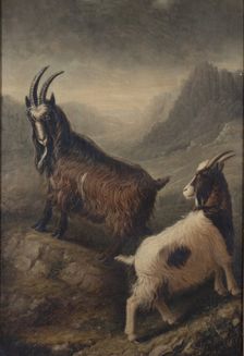 Two Welsh Goats, 1835. Creator: William Shiels