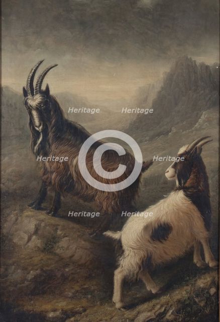 Two Welsh Goats, 1835. Creator: William Shiels.