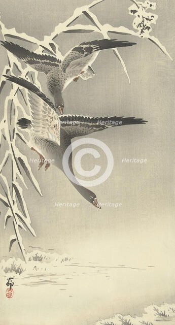 Two white-fronted geese in snowy landscape. Creator: Ohara, Koson (1877-1945).