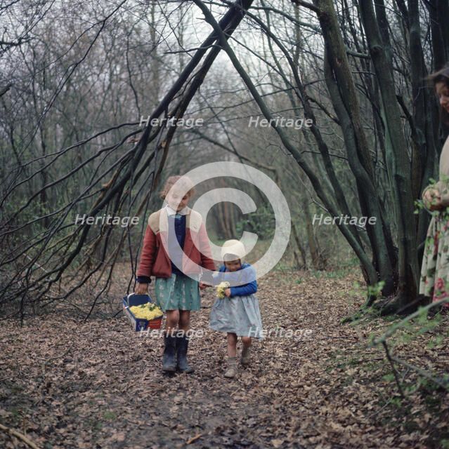 Two young gipsy girls, members of the Vincent family, Charlwood, Newdigate area, Surrey, 1964. 