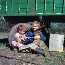 Two young gipsy girls playing with a dog, Charlwood, Newdigate area, Surrey, 1964