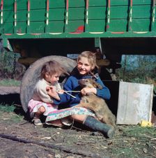 Two young gipsy girls playing with a dog, Charlwood, Newdigate area, Surrey, 1964