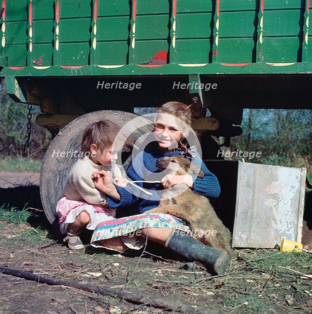 Two young gipsy girls playing with a dog, Charlwood, Newdigate area, Surrey, 1964.