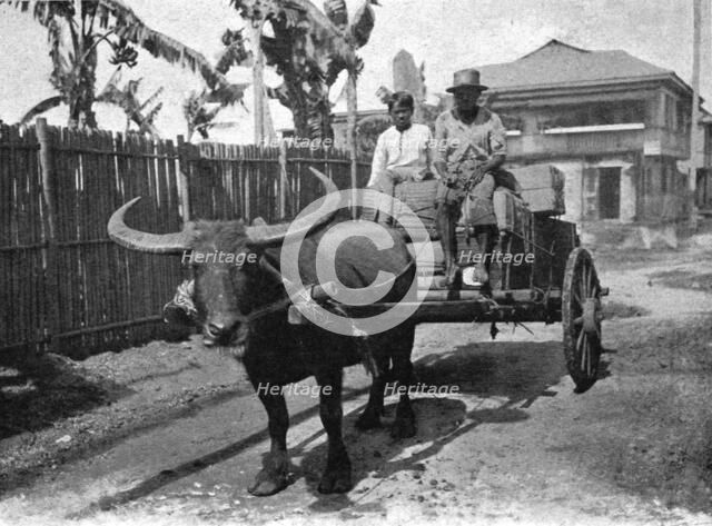 ''Type d'attelage aux Philippines; Les Terres Du Pacifique', 1914. Creator: Unknown.