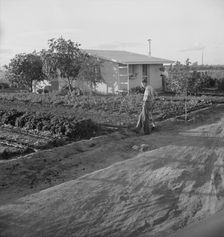 Type house at Garden Homes, Arvin (Kern County), California, 1938. Creator: Dorothea Lange