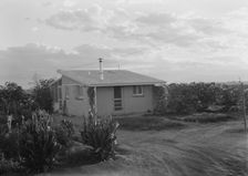 Type house at "Garden Homes", Kern County, California, 1938. Creator: Dorothea Lange
