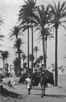 'Types d'Arabes de la Tripolitaine; Le Nord-Est Africain 1914. Creator: Unknown