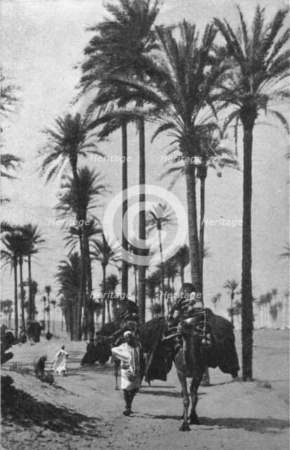 ''Types d'Arabes de la Tripolitaine; Le Nord-Est Africain', 1914. Creator: Unknown.