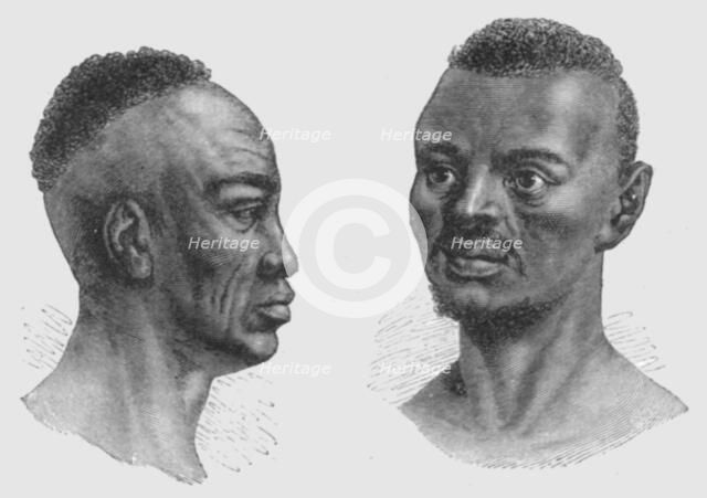 'Types of Nyam-Nyam; Dr. G. Schweinfurth's recent expedition to the Nyam-Nyam district..., 1875. Creator: W. F Kirby.